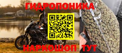 Альфа ПВП Аргун