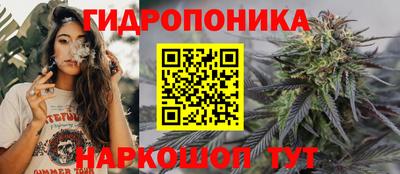 Альфа ПВП Аргун